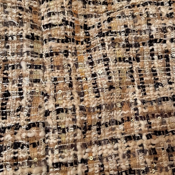 Loft shimmer Tweed Skirt - Picture 5 of 5